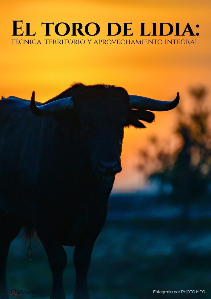El toro de Lidia